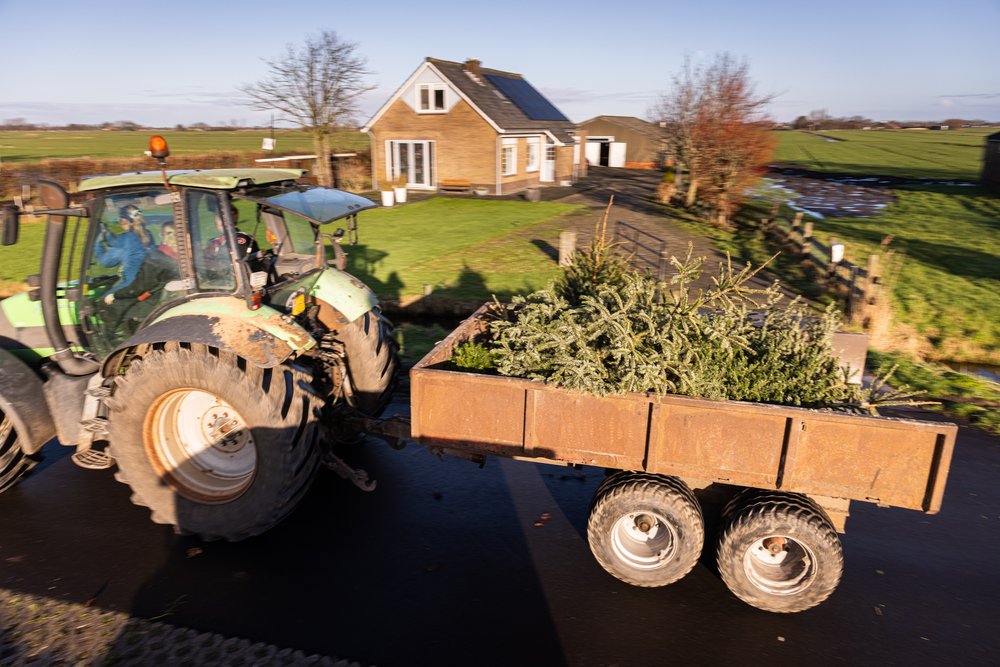 Kerstbomen verbranding Broek in Waterland-4